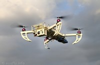Eyefly's Goliath